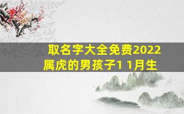 取名字大全免费2022属虎的男孩子1 1月生